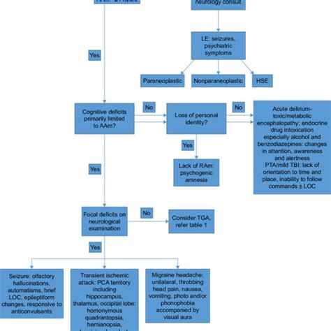 tg amnesia|tga medical abbreviation.